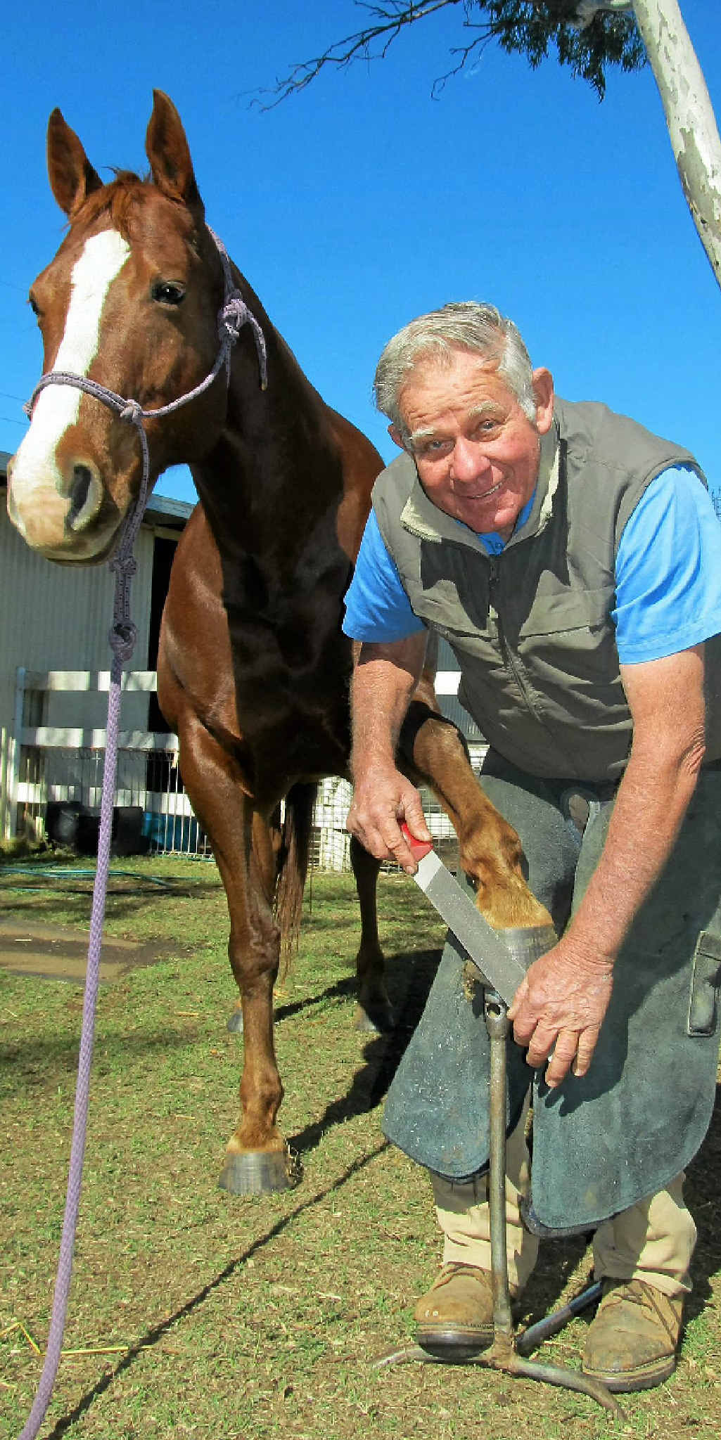 Farrier Des Bosworth has been shoeing horses since he was 14 years old, but at 68 this year, he has decided to slow down and enjoy life. Farrier Des Bosworth has been shoeing horses since he was 14 years old, but at 68 this year, he has decided to slow down and enjoy life.